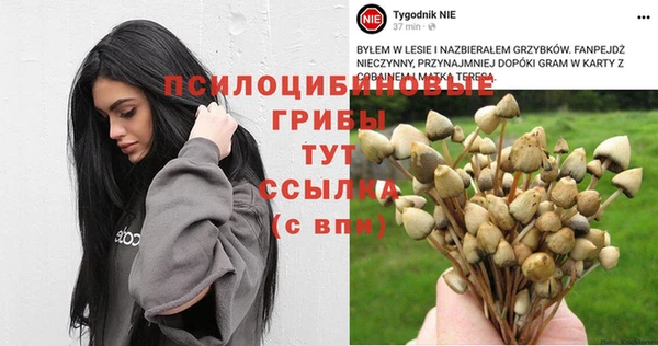 дмт Беломорск