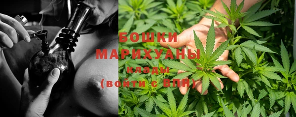 амфетамин Белокуриха