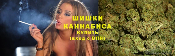 амф Сосновоборск