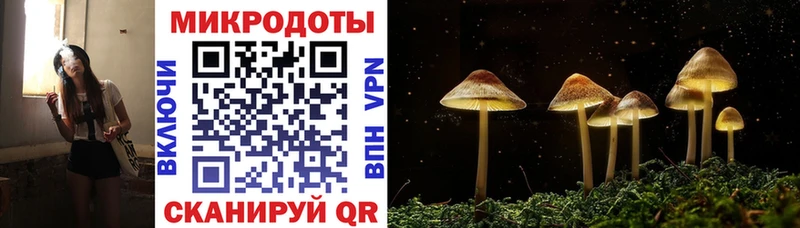 магазин продажи наркотиков  Ялуторовск  Псилоцибиновые грибы прущие грибы 